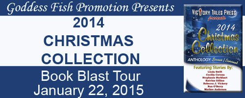 MBB_TourBanner_2014ChristmasCollection